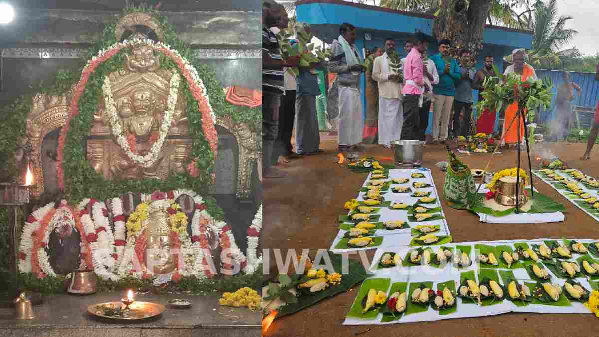 ಕಡೂರಿನಲ್ಲಿ ಕಳೆಗಟ್ಟಿದ ಜಾನಪದ ಆಚರಣೆ