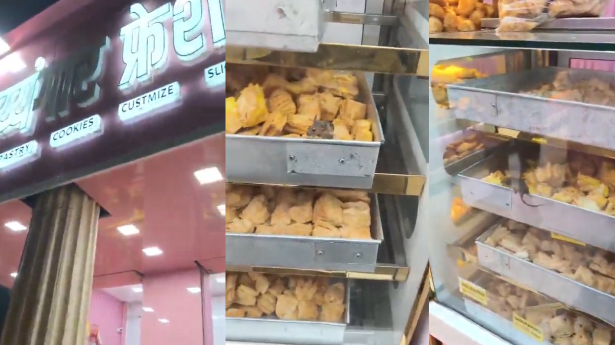 Rat Spotted Roaming Inside Snack Tray at Badlapur Shop, Video Sparks Food Safety Concerns
