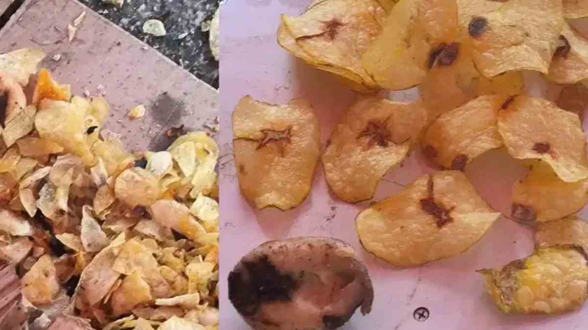 Karnataka Bakery Sealed After Rotten Potatoes and Dirty Water Allegedly Used to Make Chips