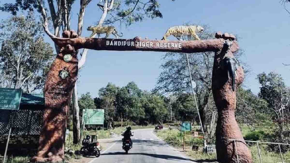 Bandipur Tiger Reserve Hikes Safari Charges; Revised Fee Structure to Take Effect from September 1