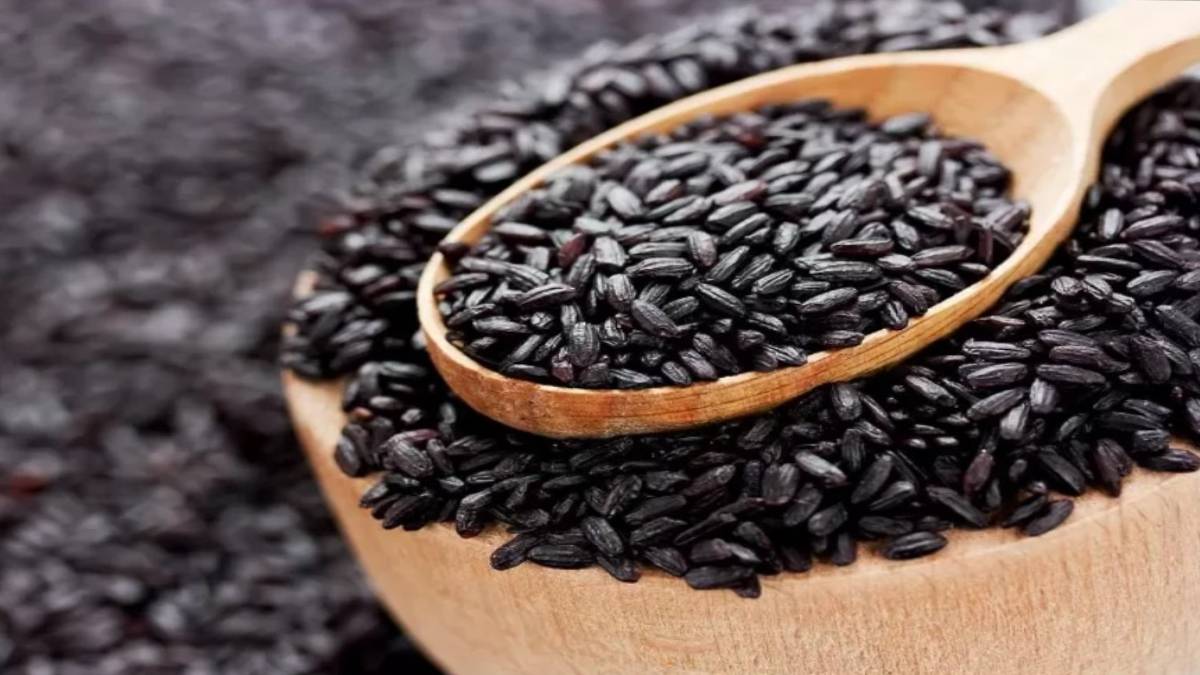 ಮಧುಮೇಹಿಗಳ ಪಾಲಿಗೆ ಬಿಳಿ ಅನ್ನಕ್ಕಿಂತ 'ಕಪ್ಪು ಅಕ್ಕಿ' ನಿಜಕ್ಕೂ ವರದಾನವೇ? ರಕ್ತದಲ್ಲಿನ ಸಕ್ಕರೆ ಮಟ್ಟ ನಿಯಂತ್ರಣದ ಅಸಲಿ ಸತ್ಯ!!