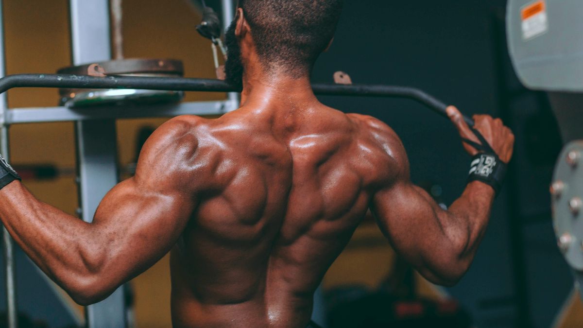 Bodybuilding Mistakes That Cause Back Pain: Exercises to Avoid for Injury-Free TrainingBodybuilding & Back Pain: Exercises That Increase Injury Risk