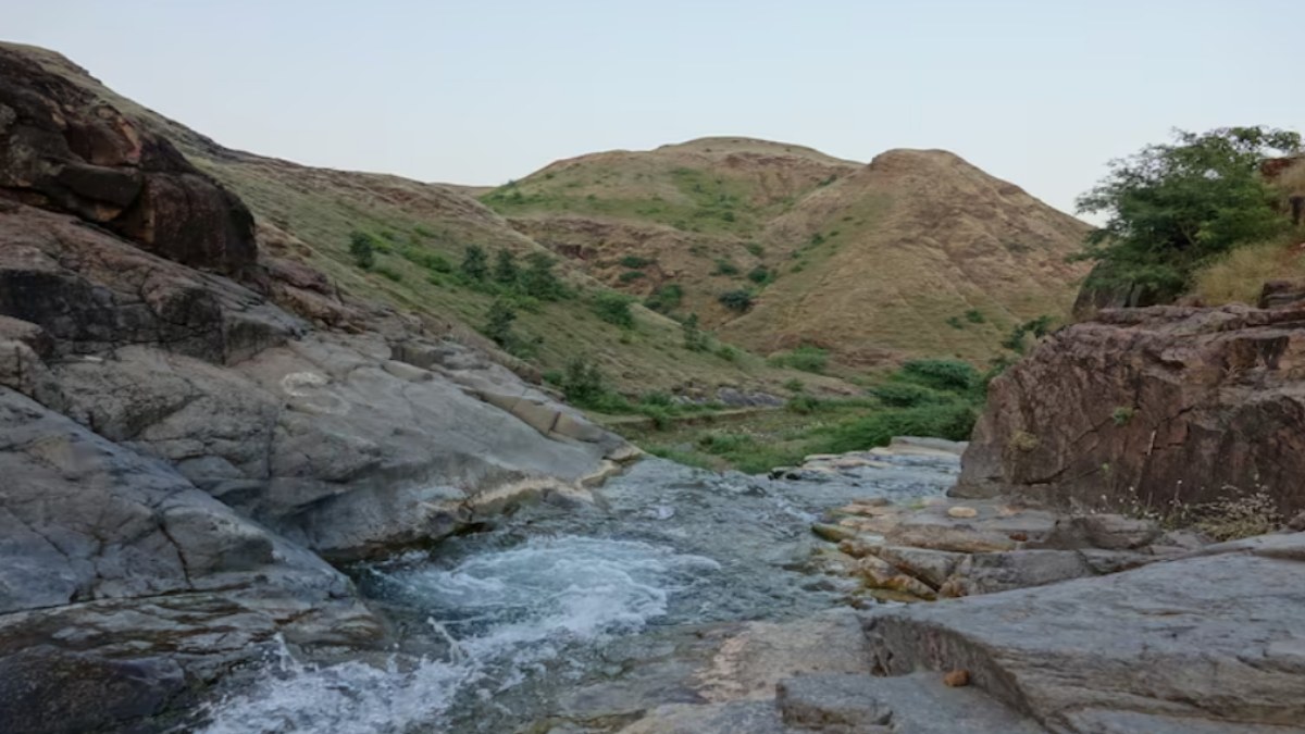 CWRC Recommends Karnataka Release 3,500 Cusecs of Cauvery Water Daily to Tamil Nadu for 15 Days