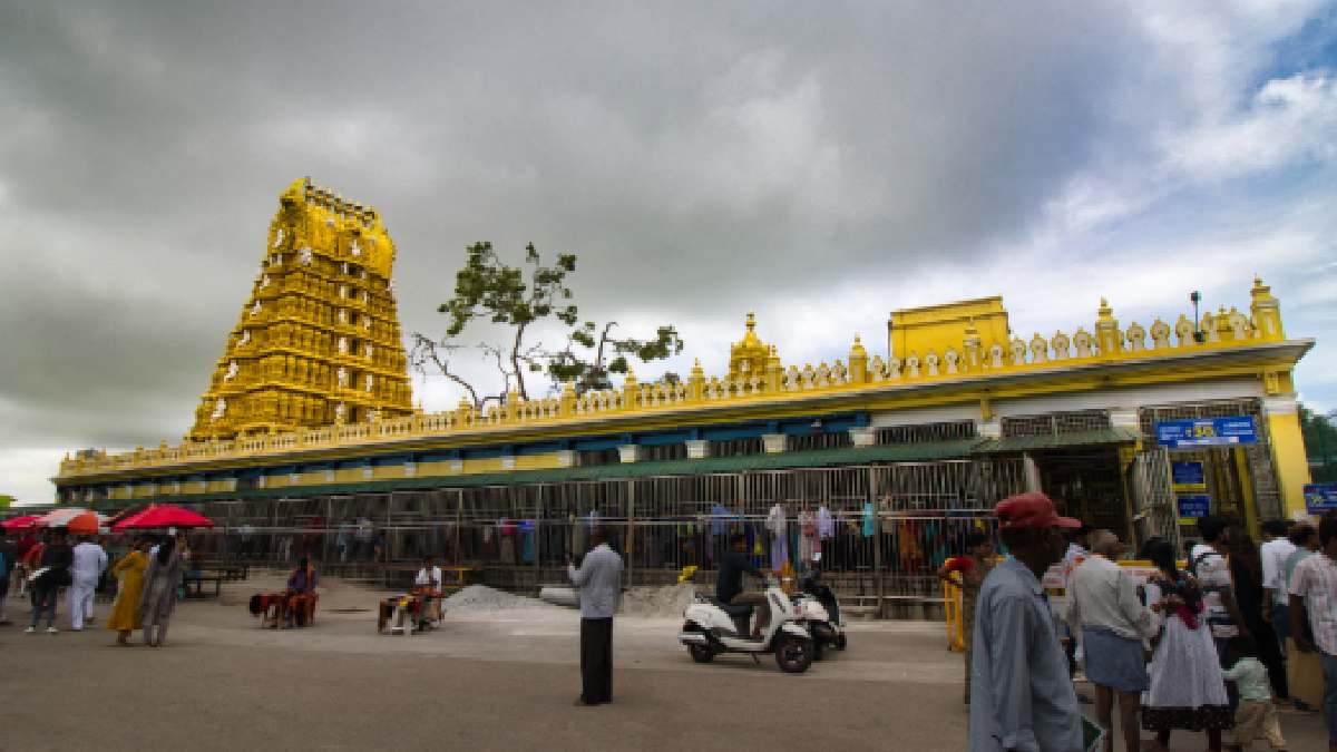 ಚಾಮುಂಡಿ ಬೆಟ್ಟದಲ್ಲಿ ಆಷಾಢ ಪೂಜೆ | Photo Credit: https://www.instagram.com/atit.photography/