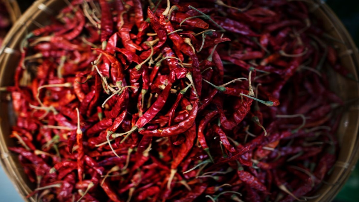 Health Benefits of Chilli: Why Eating Spicy Food in Moderation Is Good for You
