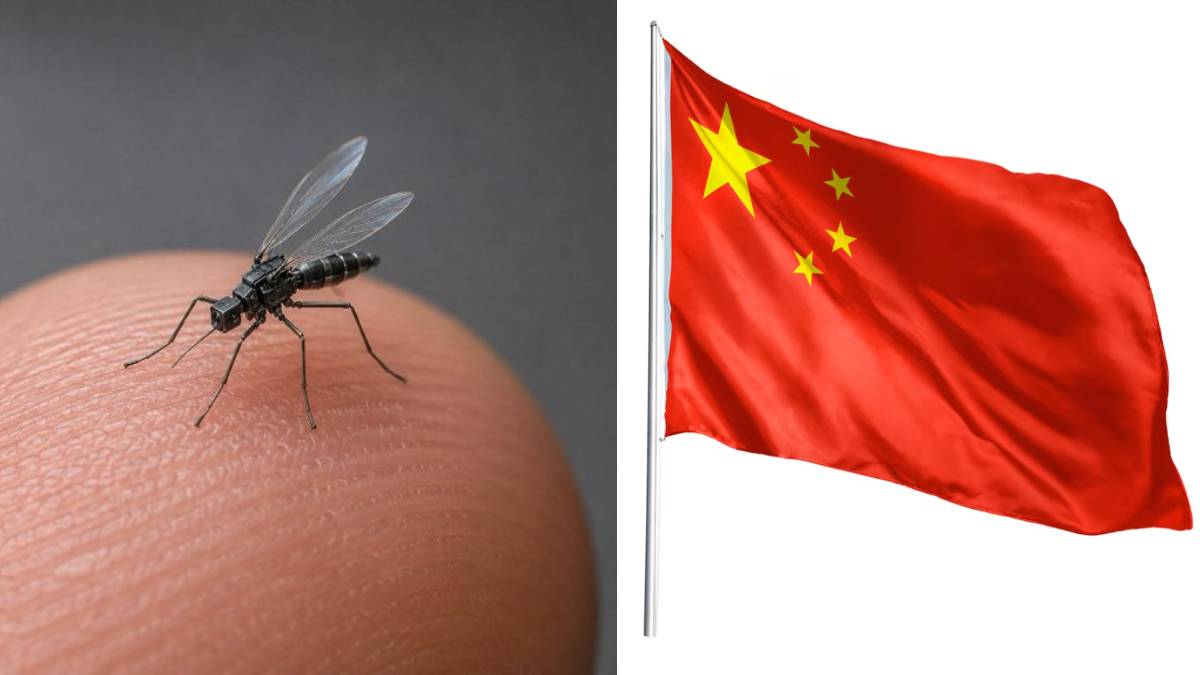 China Unveils 0.6 cm Mosquito-Sized Spy Drone for Surveillance | Photo Credit: https://x.com/india_plus_