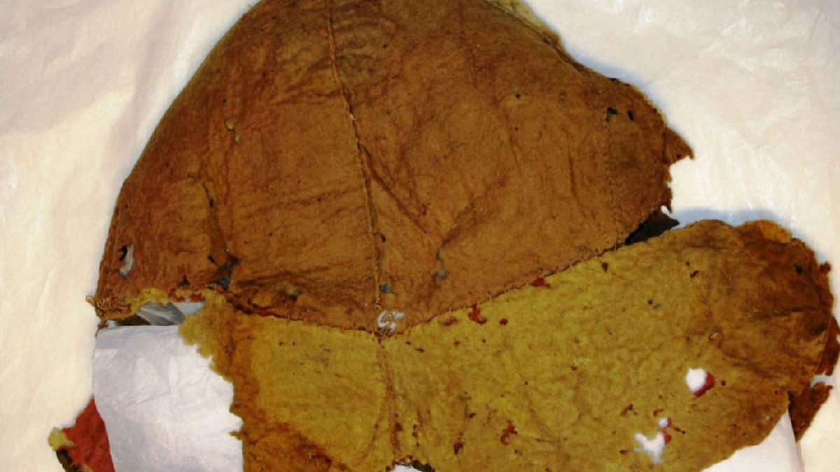 Hidden for 100 Years: 2,000-Year-Old Egyptian Hat Finally Restored