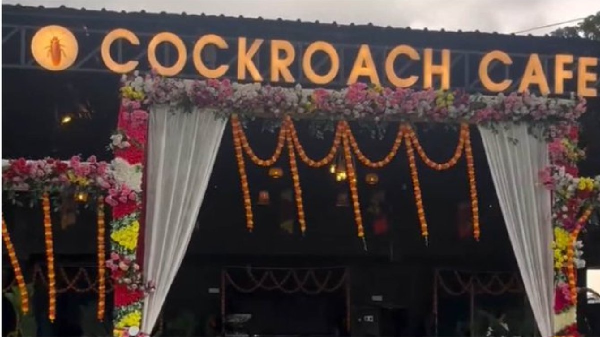 Would You Eat Here? Bihar's 'Cockroach Cafe' Becomes Internet's Latest Viral Attraction