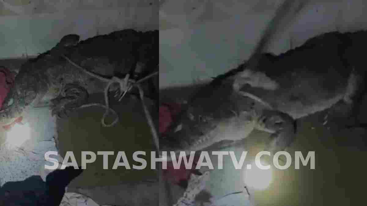 ಬಾತ್‌ರೂಮ್ ಬಾಗಿಲು ತೆರೆದ ಕುಟುಂಬಕ್ಕೆ ಶಾಕ್- ಕಣ್ಣೆದುರಲ್ಲೇ ಇತ್ತು 7 ಅಡಿ ಉದ್ದದ ರಾಕ್ಷಸ ಮೊಸಳೆ!!