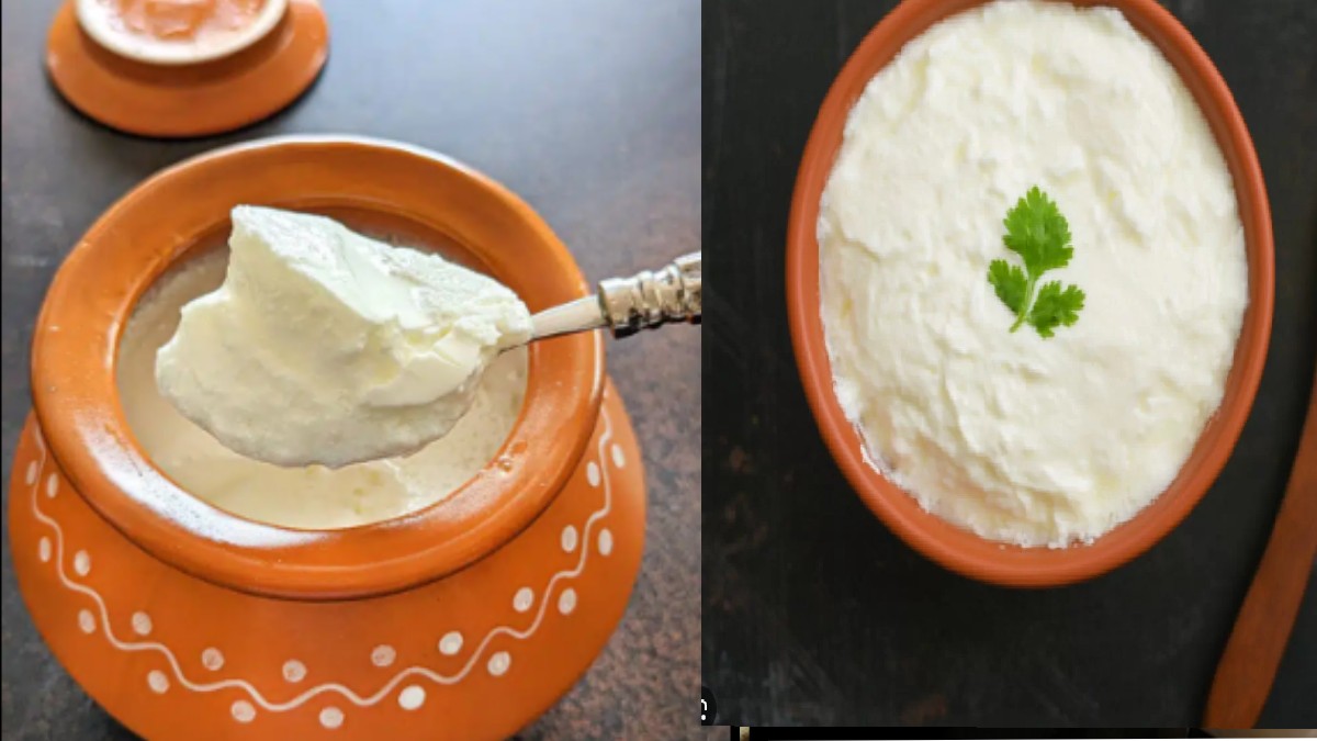 Does Curd Turn Watery During the Monsoon? Simple Tips to Keep It Thick and Fresh