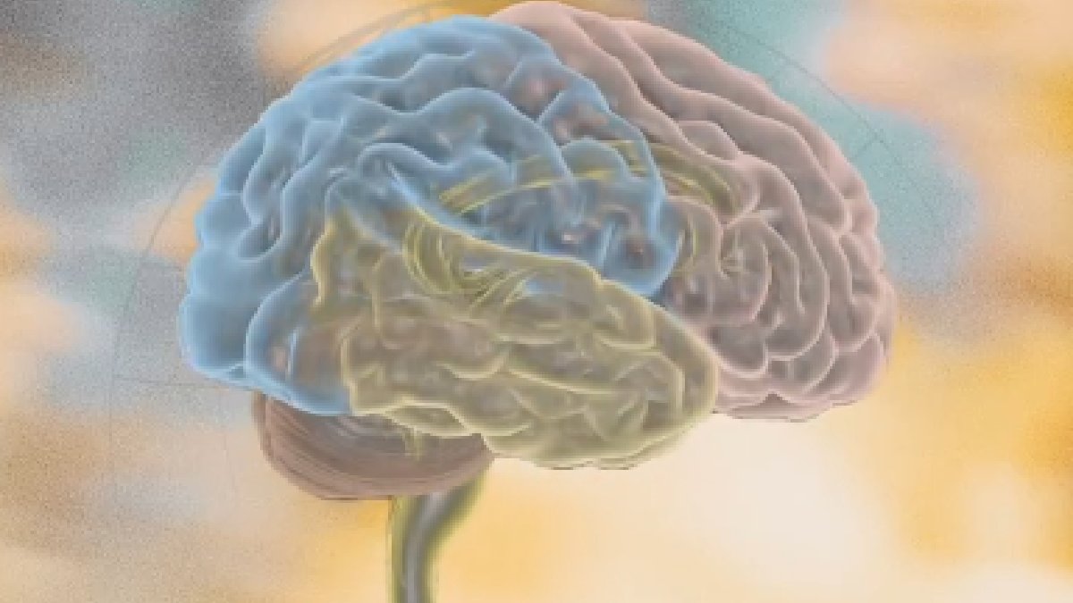 Your Brain Could Be Drying Out at Work! Neurologist Reveals 7 Warning Signs You're Not Drinking Enough Water