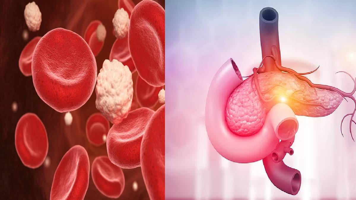 American Scientists Restore Insulin-Producing Pancreatic Beta Cells in Breakthrough Diabetes Research
