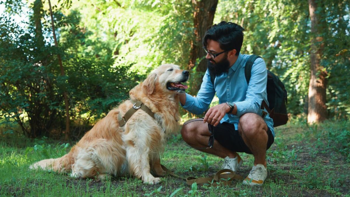 Ancient Salmon Diet May Have Strengthened the Bond Between Humans and Dogs, Researchers Say | Photo Credit: https://www.magnific.com