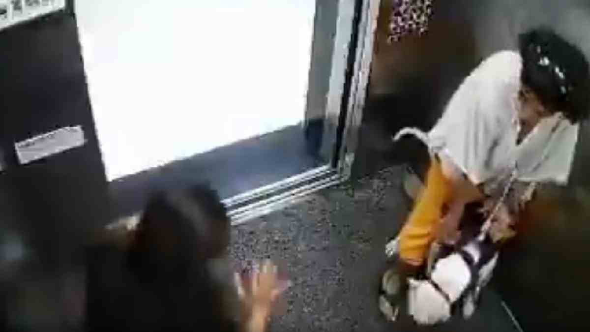 Mumbai Elevator Dog Scare Goes Viral, Sparks Debate on Pet Safety in Residential Buildings | Photo Credit: https://x.com/ravihanda