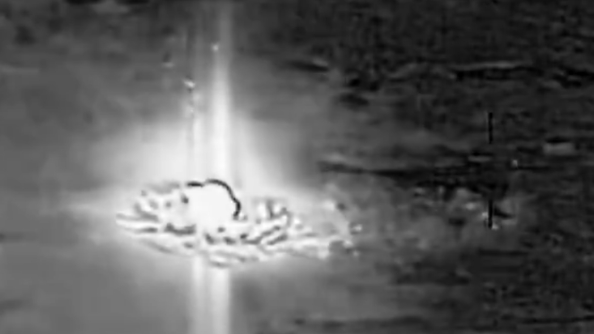 Trump Shares Videos of Fresh US Strikes on Iran, Warns 'It Will Get Much Worse' | Photo Credit: https://x.com/Anne336wj