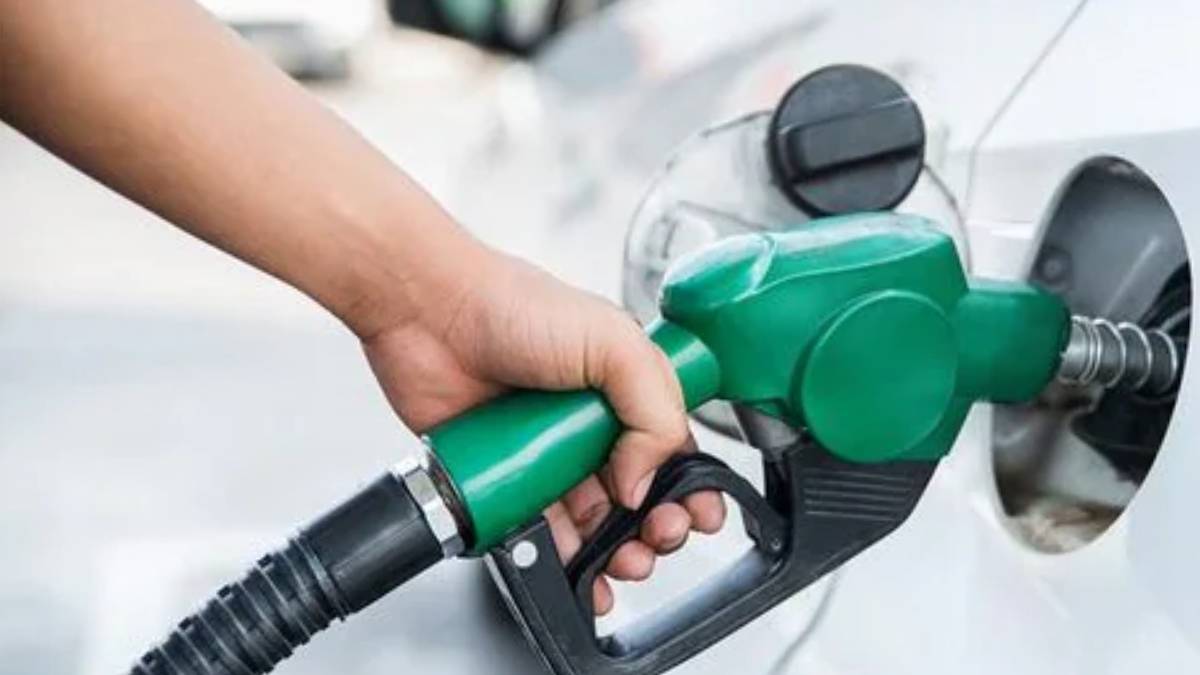 Govt Says E20 Fuel Won't Damage Pre-2023 Cars, Cites Ethanol-Blending Test Data