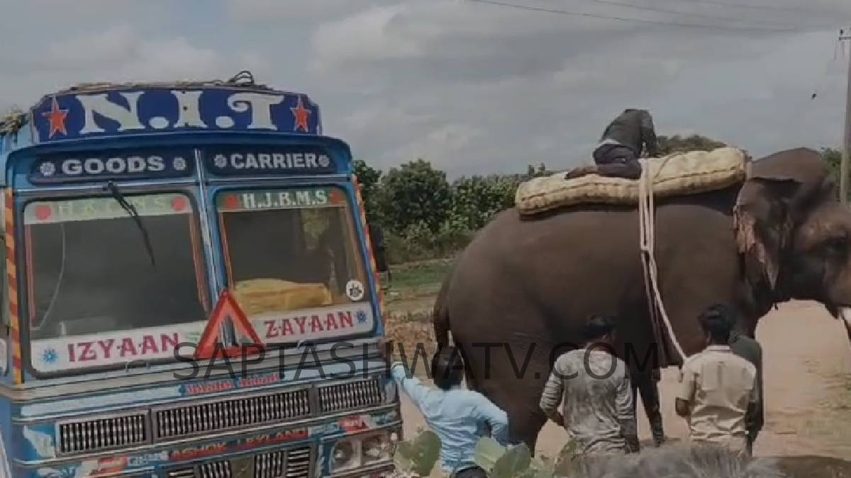ಸರಗೂರು ಭಾಗದಲ್ಲಿ ಹುಲಿ ಅಟ್ಟಹಾಸ - ನರಭಕ್ಷಕನ ಸೆರೆಗೆ 'ಕ್ಯಾಪ್ಟನ್ ಅಭಿಮನ್ಯು' ನೇತೃತ್ವದಲ್ಲಿ ಕ್ಯೂಬಿಂಗ್ ಕಾರ್ಯಾಚರಣೆ ಆರಂಭ!!