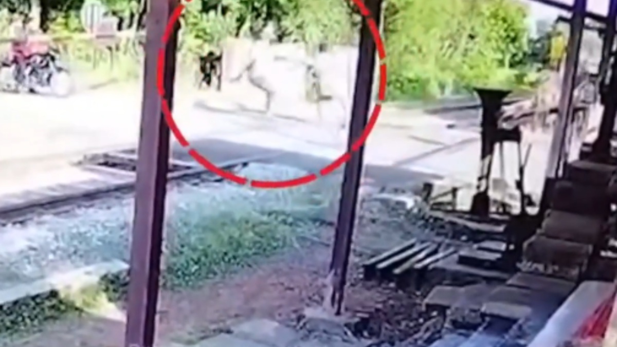 Railway Gate Employee Saves Man in Distress on Tracks Near Sirkazhi in Tamil Nadu, Prompt Action Prevents Tragedy