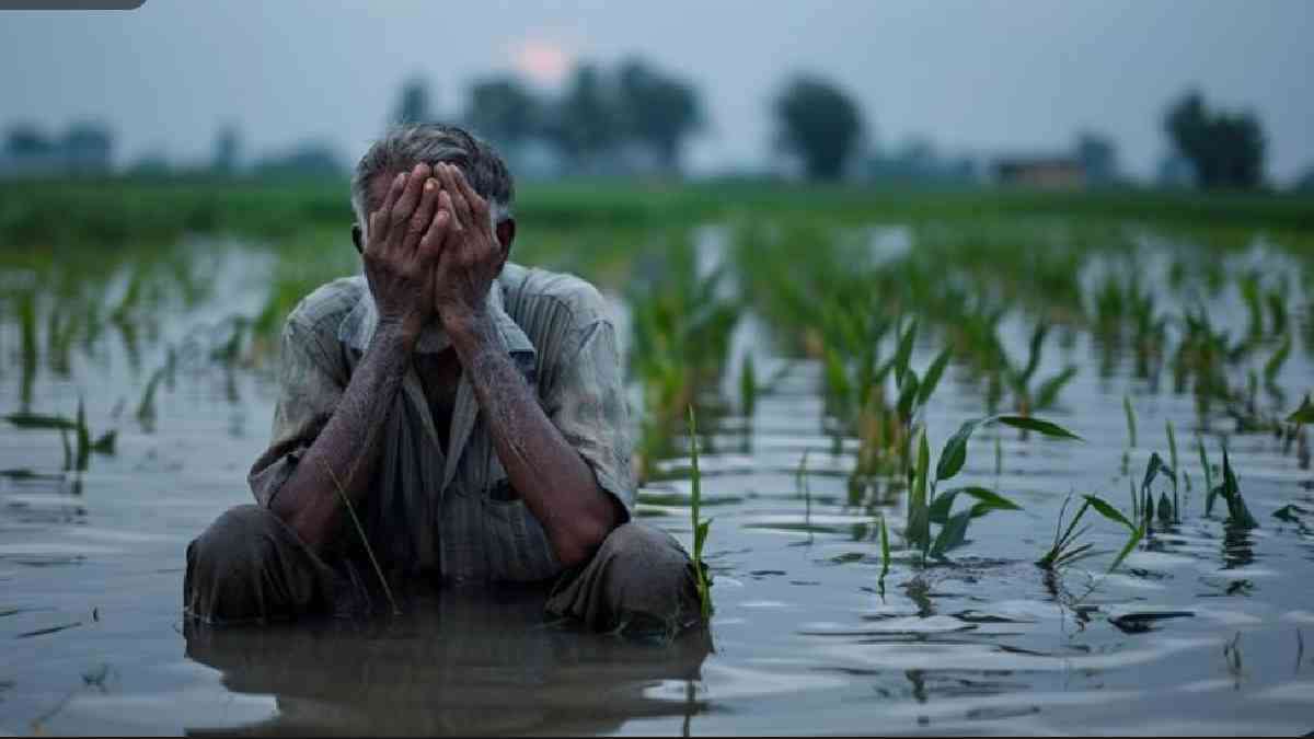 147 Farmers Lost to Debt: When Will India Find a Permanent Solution to the Agrarian Crisis?