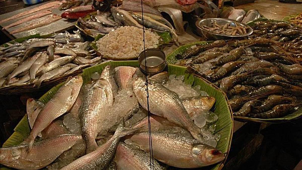 Fresh Ilish and Chingri Buying Guide: Simple Tricks to Pick the Best Quality Fish Every Time