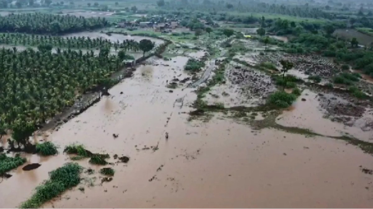 South Gujarat Deluge: 5 Dead, Thousands Evacuated as Surat Records Extreme Rainfall