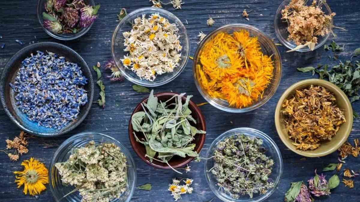Top 6 Gut-Friendly Monsoon Drinks That Aren't Ginger Tea or Kadha but Still Aid Digestion