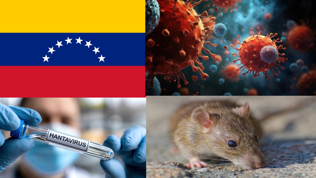 Hantavirus Outbreak in Venezuela Leaves 3 Dead, Authorities Investigate 2 More Suspected Fatalities