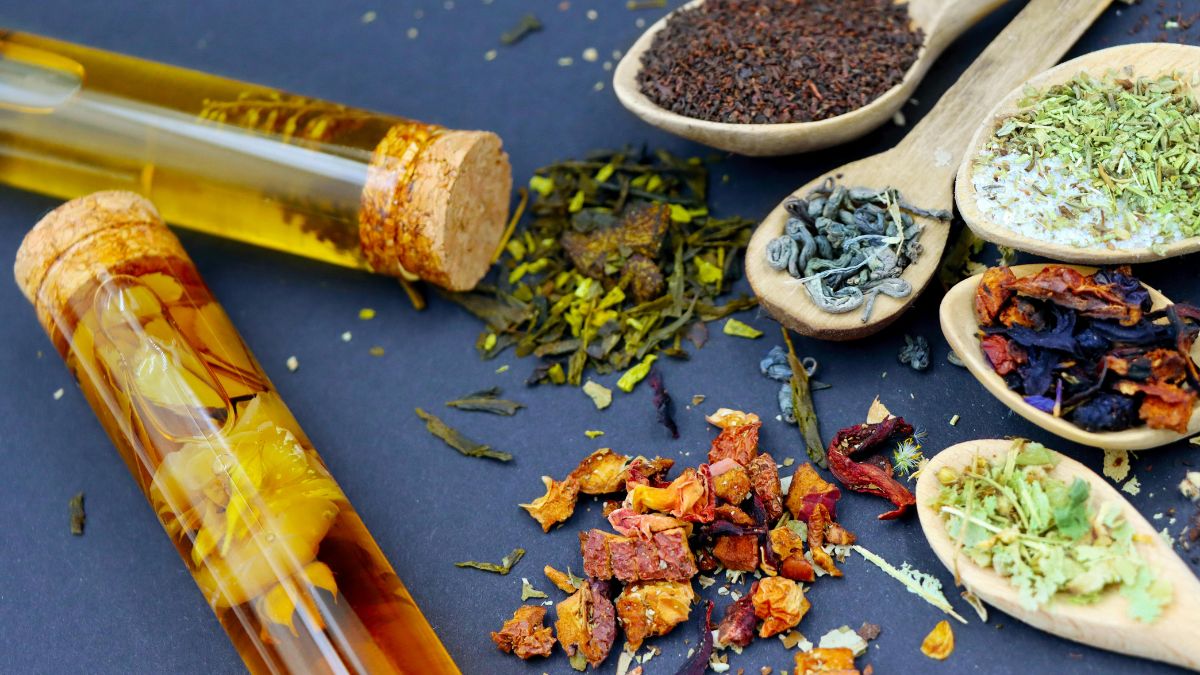 Herbal Medicine vs. Pharmaceutical Drugs: Why Medicinal Plants Still Matter