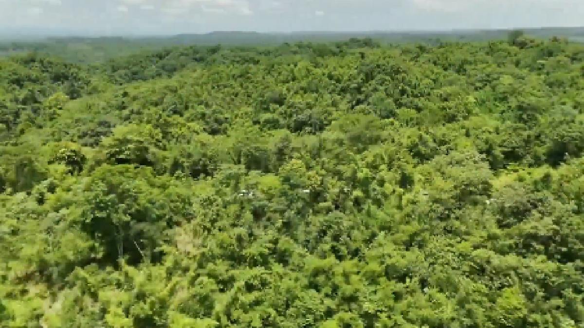 AI forest management  in  Himachal Pradesh | Photo Credit: https://x.com/ANI