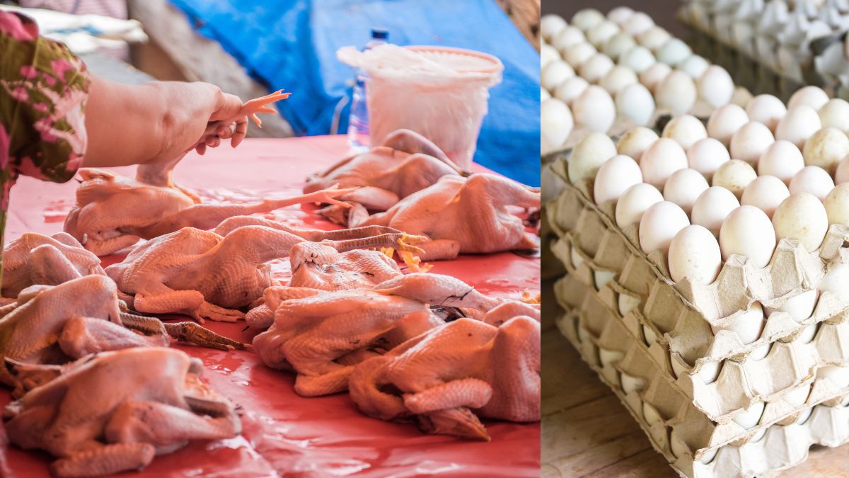 Chicken and Egg Prices Soar in Bengaluru: Broiler Chicken Hits ₹360/kg, Eggs Touch ₹9 Each