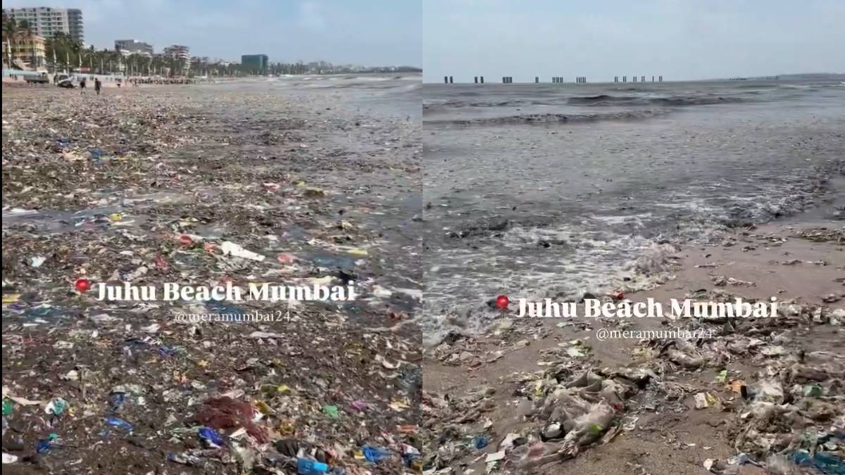 Juhu Beach Condition: Pollution, Cleanliness, and Conservation Efforts in Mumbai