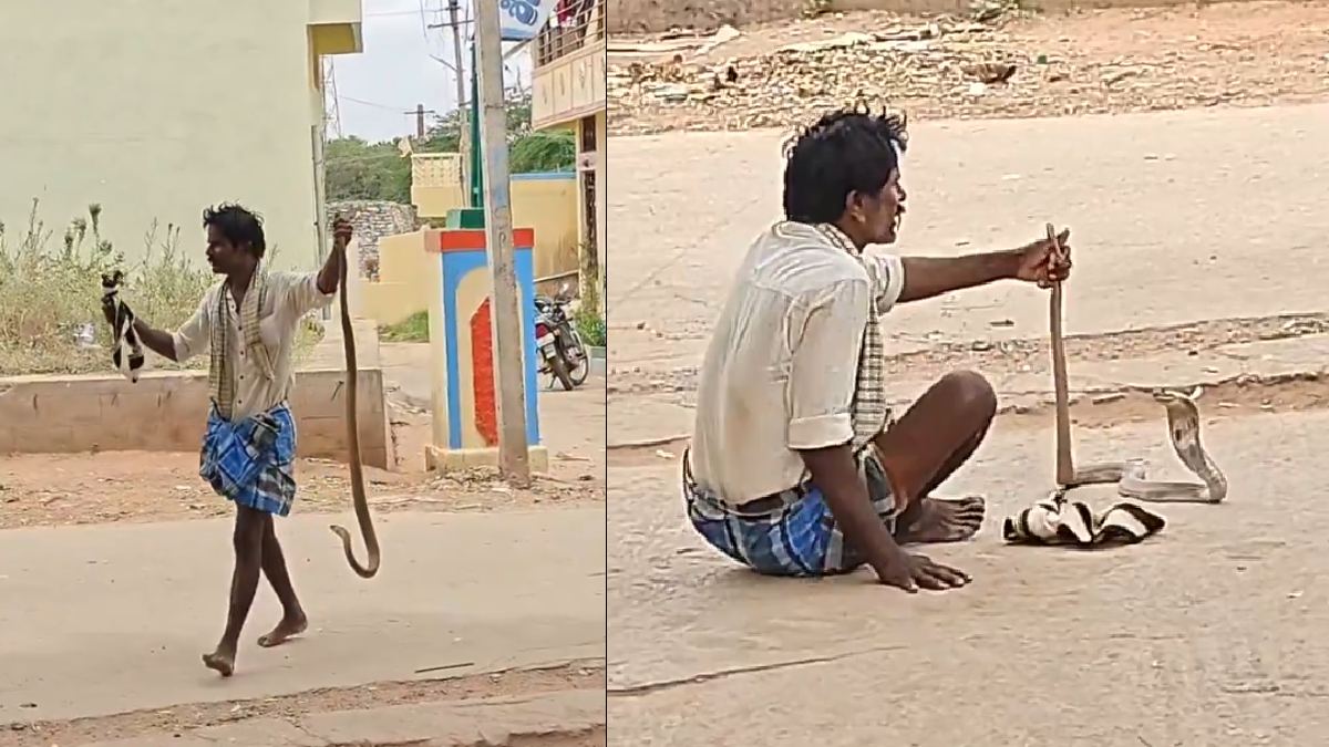 Viral Video Shows Man Handling Cobra in Karnataka, Sparks Safety and Wildlife Concerns