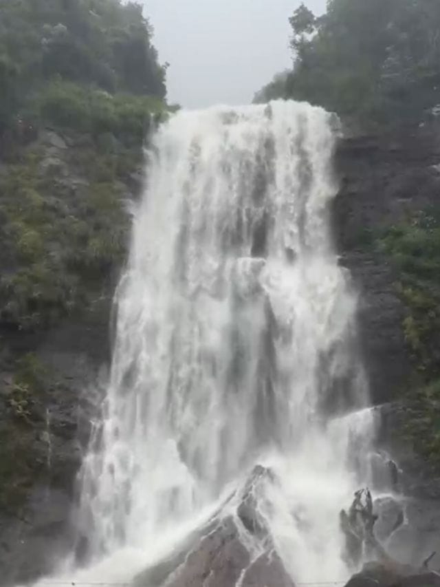 ಪ್ರಕೃತಿ ಪ್ರೇಮಿಗಳ ಸ್ವರ್ಗ ಕೆಮ್ಮಣ್ಣುಗುಂಡಿ - ಕಣ್ಮನ ಸೆಳೆಯುತ್ತಿದೆ ಮನಮೋಹಕ ಹೆಬ್ಬೆ ಫಾಲ್ಸ್!!