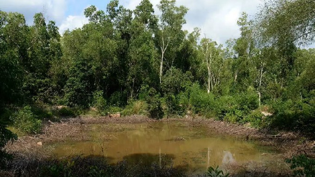Mystery at Kerala Agricultural University: Karnataka PhD Student Found Dead in Campus Pond