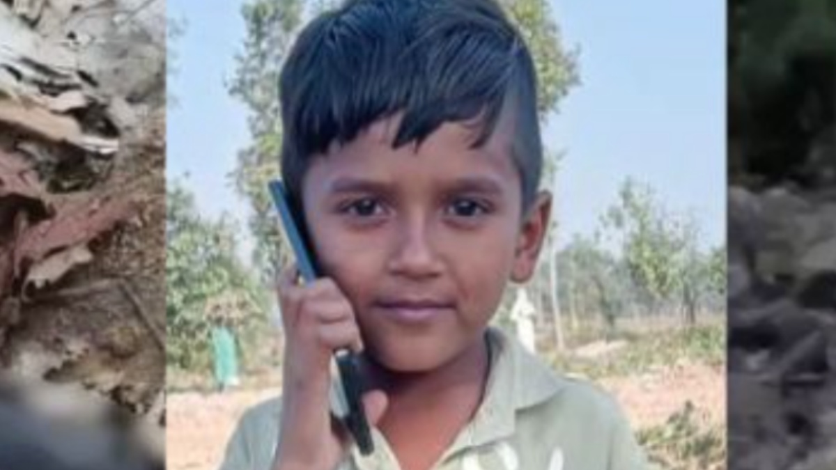 Lion Attack at Girnar Hill: 11-Year-Old Pilgrim Dies in Gujarat's Junagadh