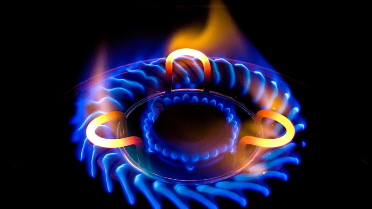 Commercial LPG Price Hike: Andhra Hoteliers Renew Demand for GST Reduction