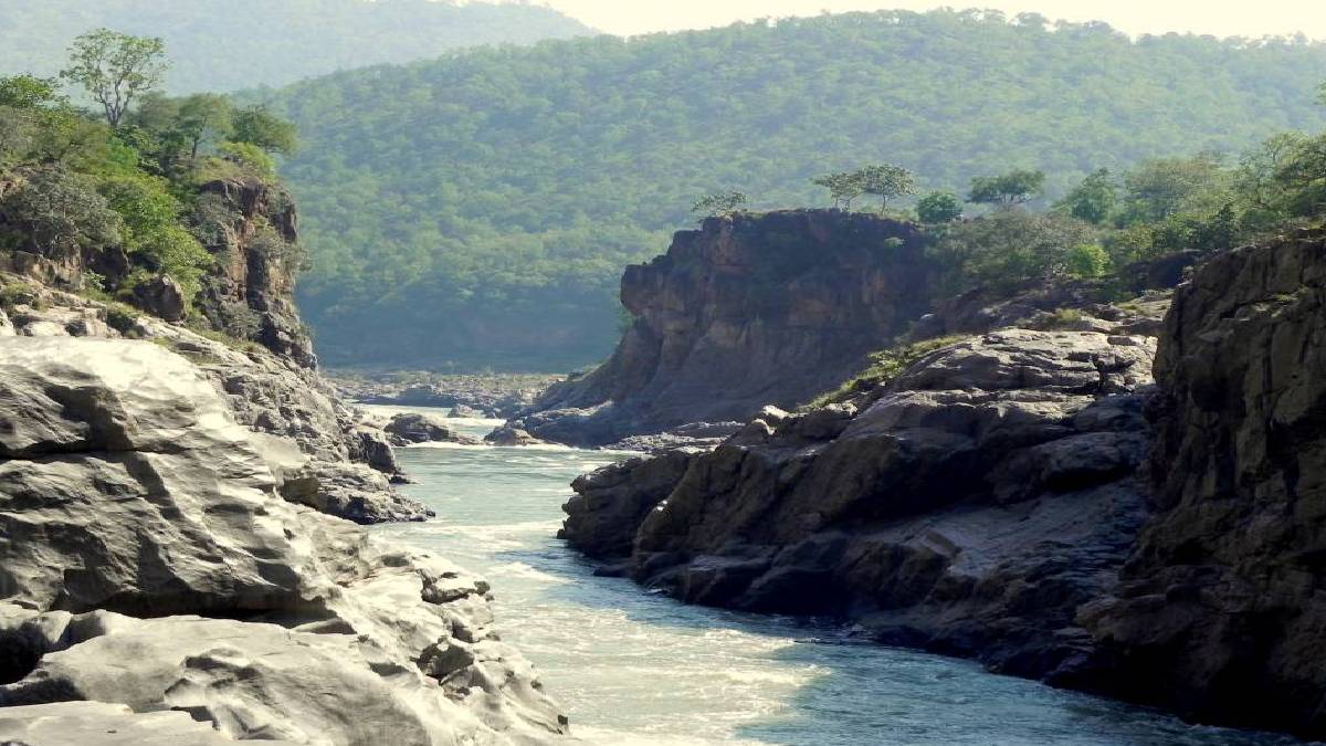 ಮೇಕೆದಾಟು ಪ್ರಾಜೆಕ್ಟ್ 2026 | Photo Credit: www.explorebees.com