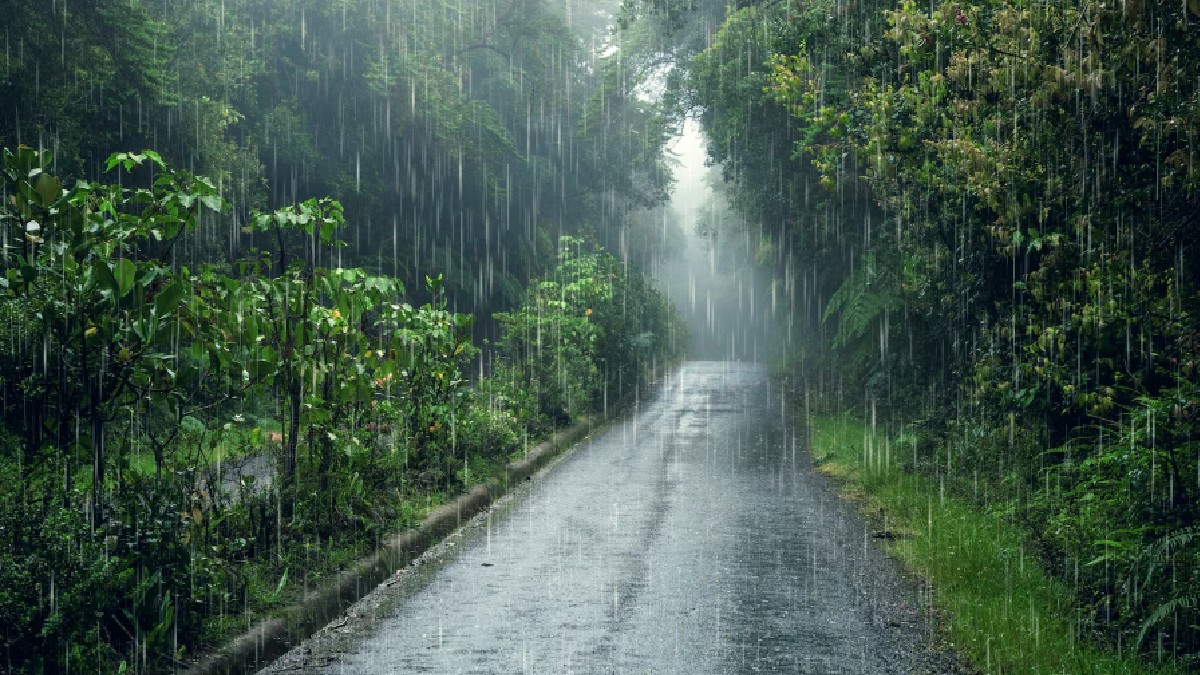 Heavy Rain and Strong Winds Lash Malnad | Photo Credit: AI