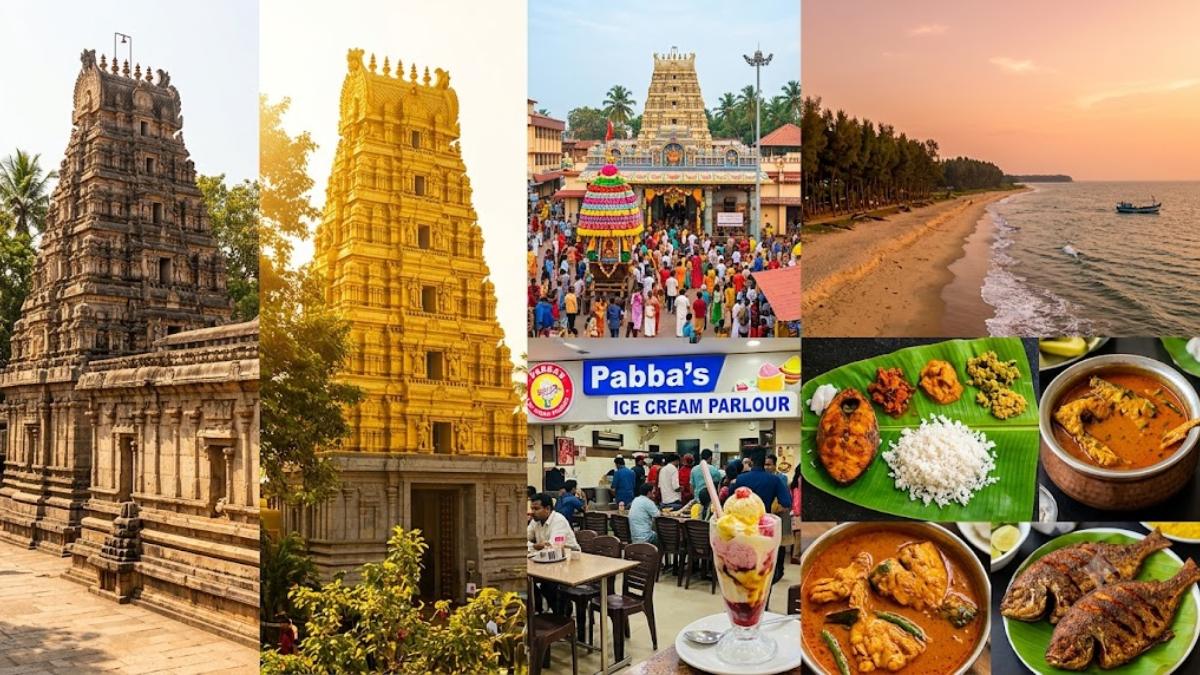 ಮಂಗಳೂರಿನಲ್ಲಿ ಪಬ್ಬಾಸ್ ಗಡ್‌ಬಡ್ & ಗಿರಿ ಮಂಜಾಸ್ ಫಿಶ್ ಮೀಲ್ಸ್ ತಿಂದಿದ್ದೀರಾ? ಕರಾವಳಿ ಖಾದ್ಯಗಳ ಕಂಪ್ಲೀಟ್ ಗೈಡ್!!