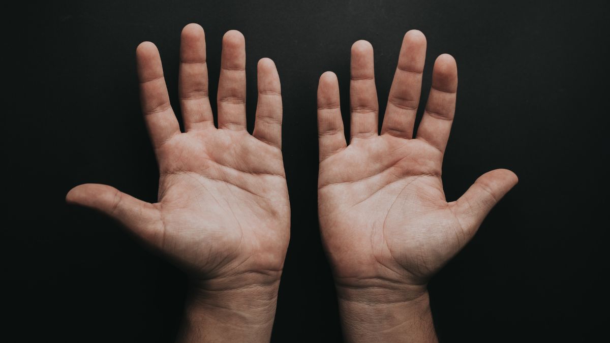 Palmistry Basics: Discover What the Lines and Mounts of Your Hand Reveal