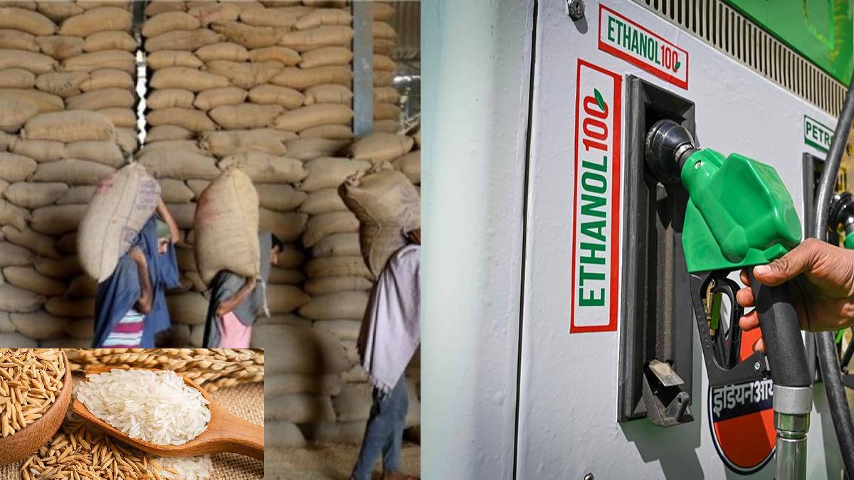 Government Allocates 55 Lakh Tonnes of Broken Rice for Ethanol Production via E-Auction