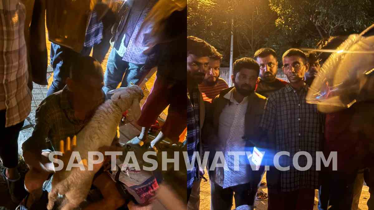 Two Men Carrying Lamb Create Midnight Drama on Outer Ring Road