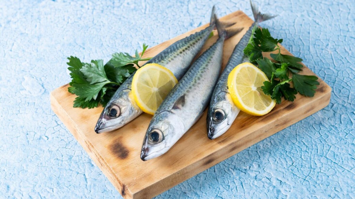 Sardine Fish Supply May Decline Next Year Due to Climate and Fishing Challenges