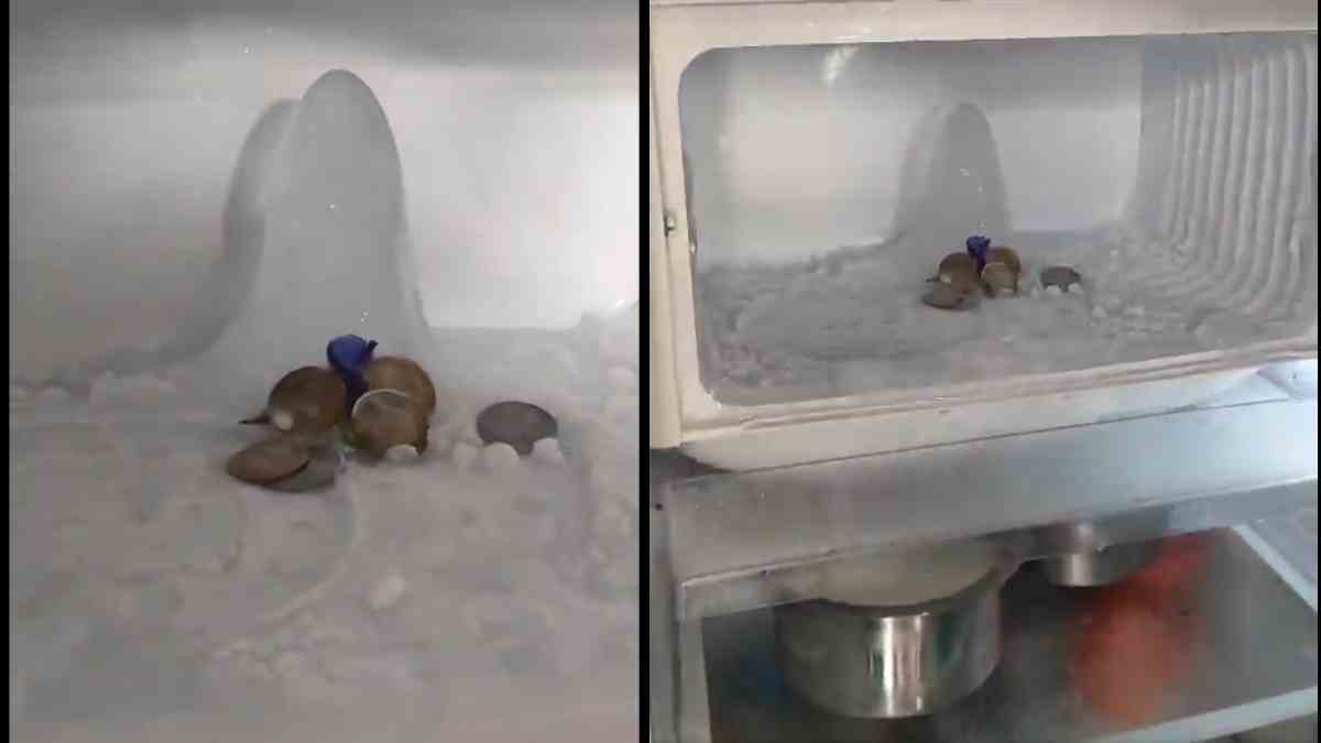 Ice Formation At Home Attracts Devotees, Triggers Online Debate | Photo Credit: https://x.com/Sachingupta