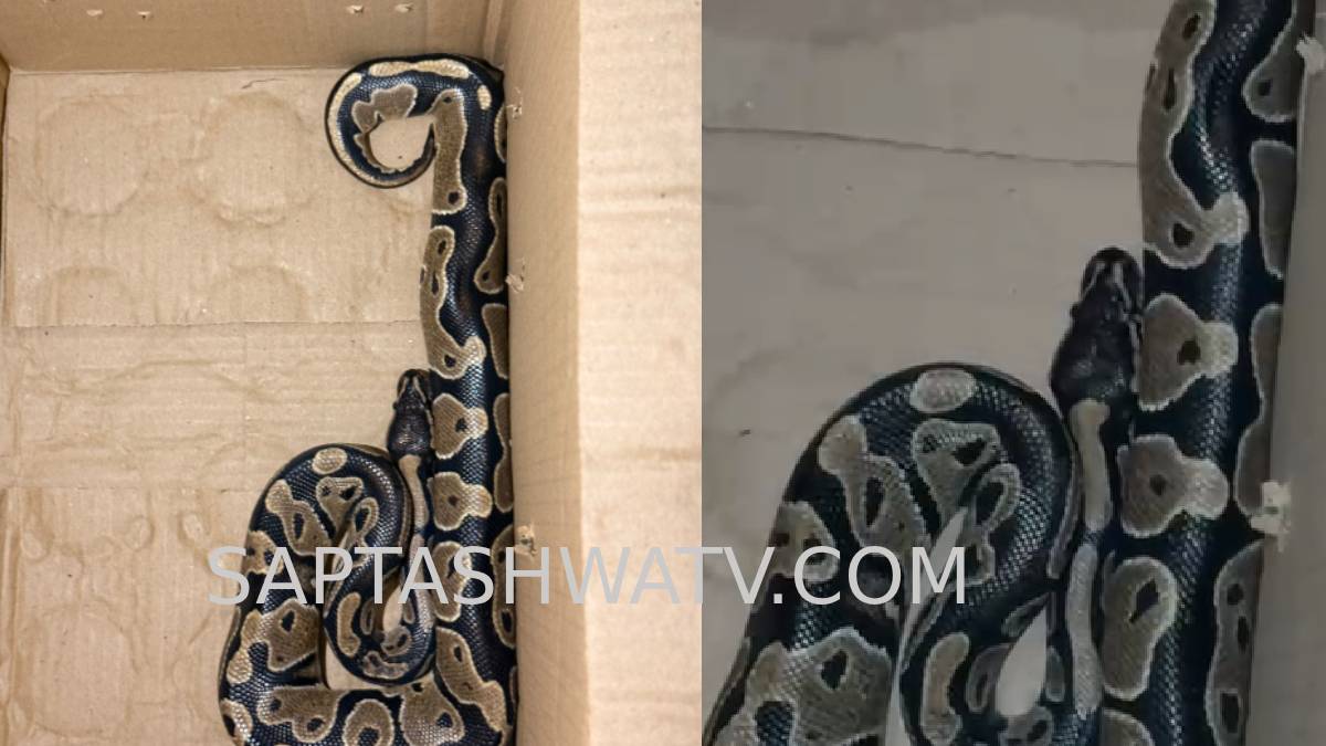 ಅಪಾರ್ಟ್‌ಮೆಂಟ್‌ ನಿವಾಸಿಗಳಲ್ಲಿ ಹೆಚ್ಚಿದ ಆತಂಕ