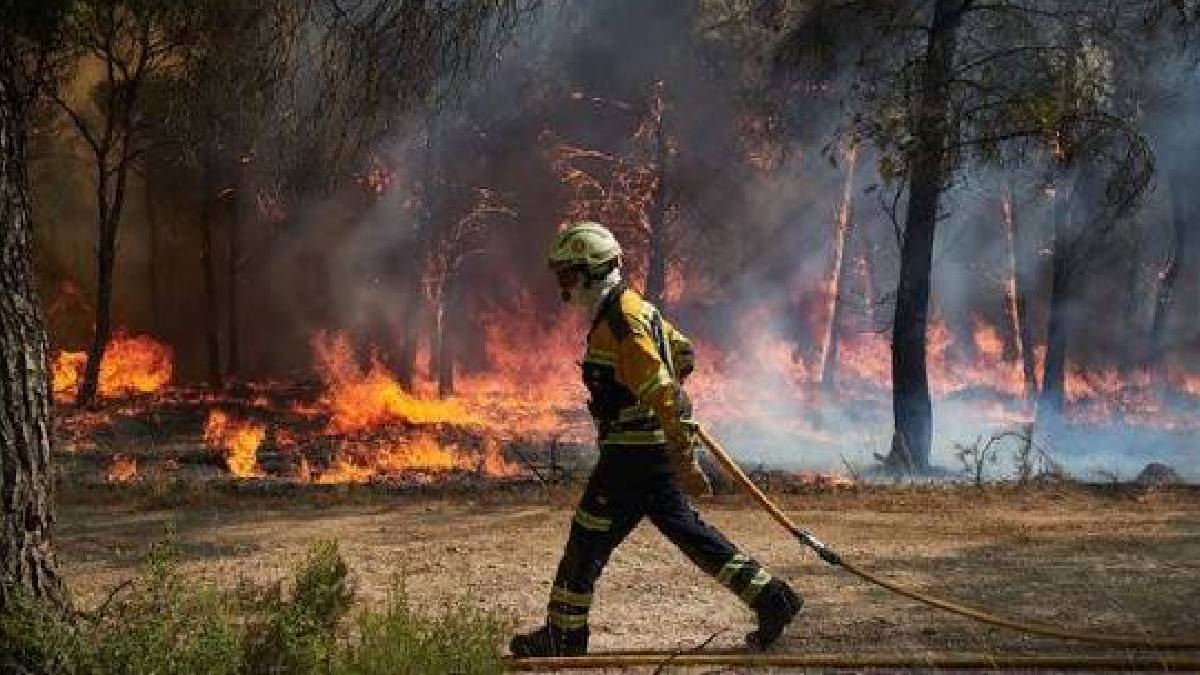 Wildfires sweep Portugal, Spain, France, and Greece | Photo Credit: https://www.facebook.com
