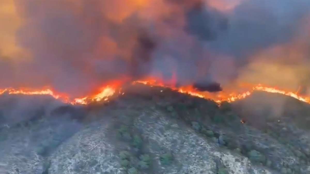 Spain Wildfire Turns Deadly: 11 Killed, 19 Missing as Tourists Ignore Evacuation Orders