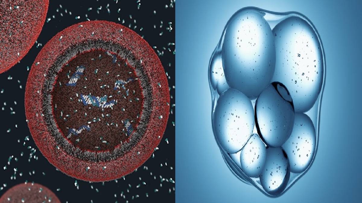 Scientists Build an Almost-Living Cell from Scratch, Offering New Clues to the Origins of Life