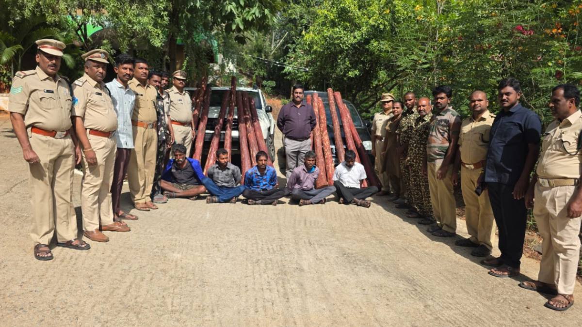 Three Get Five Years' Jail for Red Sanders Smuggling in Tirupati | Andhra Pradesh News | Photo Credit: https://x.com/sreekanth324