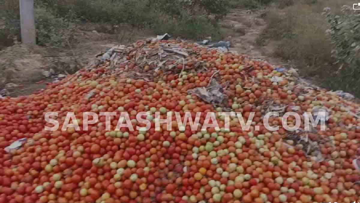 Angry Farmer Dumps Produce Along NH-44 in Protest